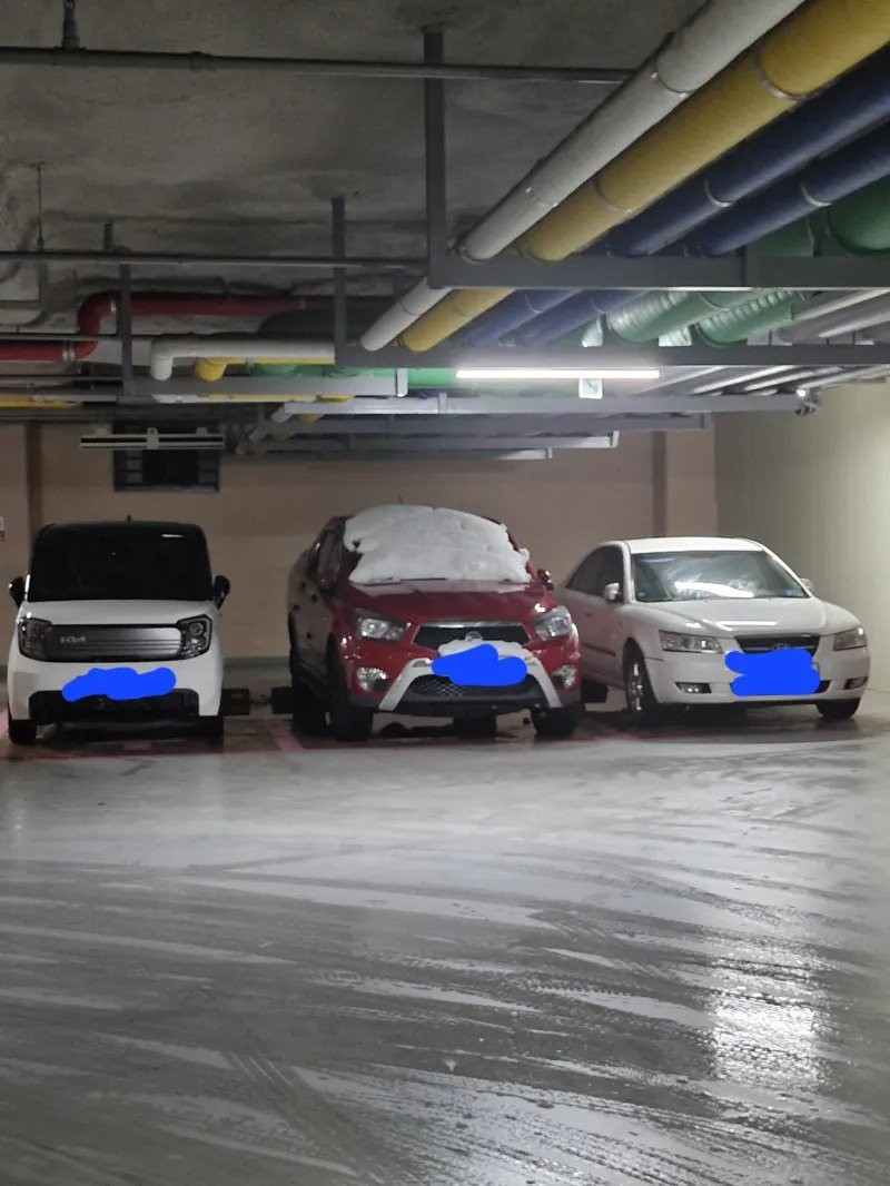 17361684145008.jpg