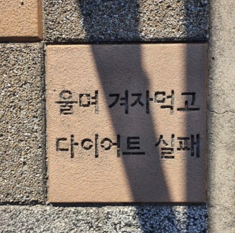17362980090938.jpg