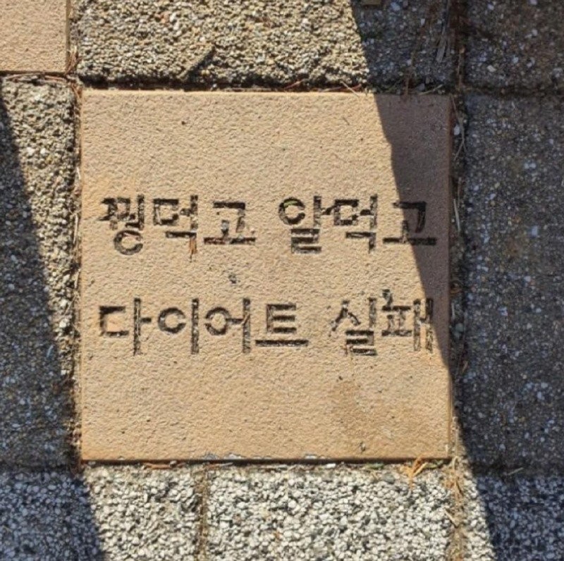 17362980093337.jpg