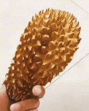 1736298011317.jpg
