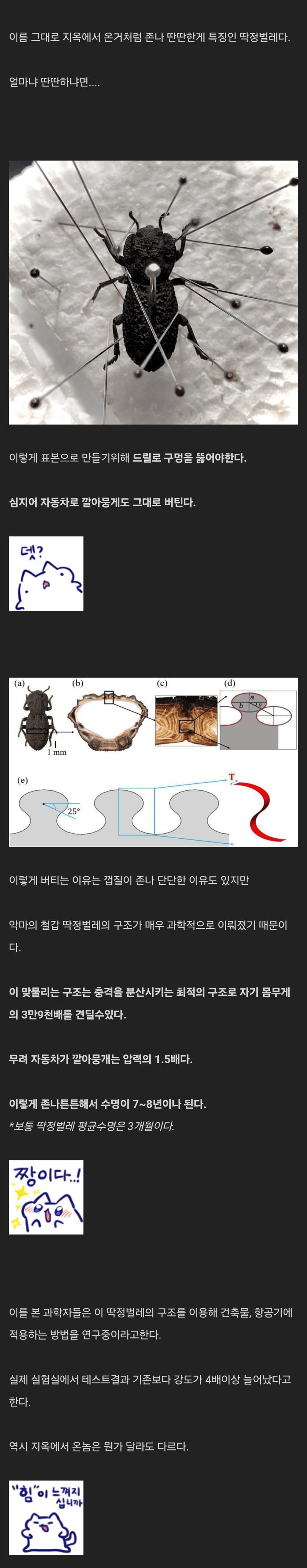 17363844329446.png