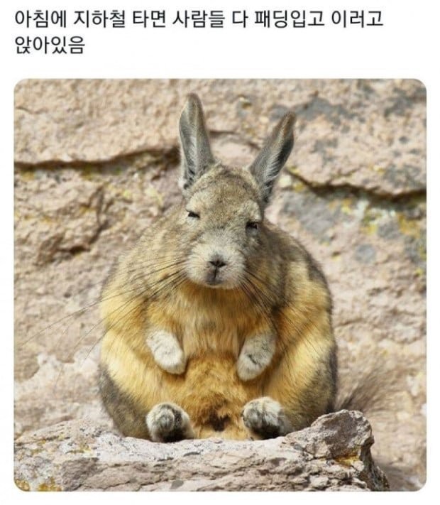 17363844468279.jpg