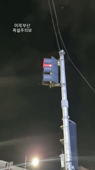 17363844605685.jpg