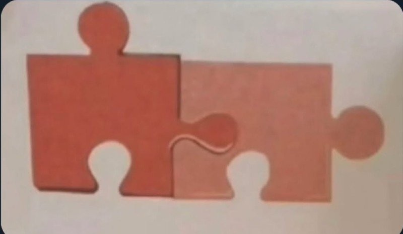17371188293009.jpg