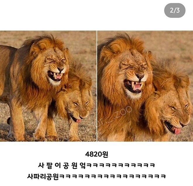 17381232340356.jpg