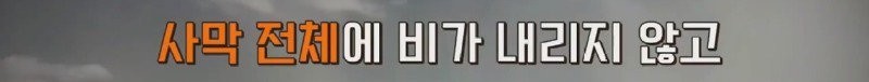 17394948240634.jpg