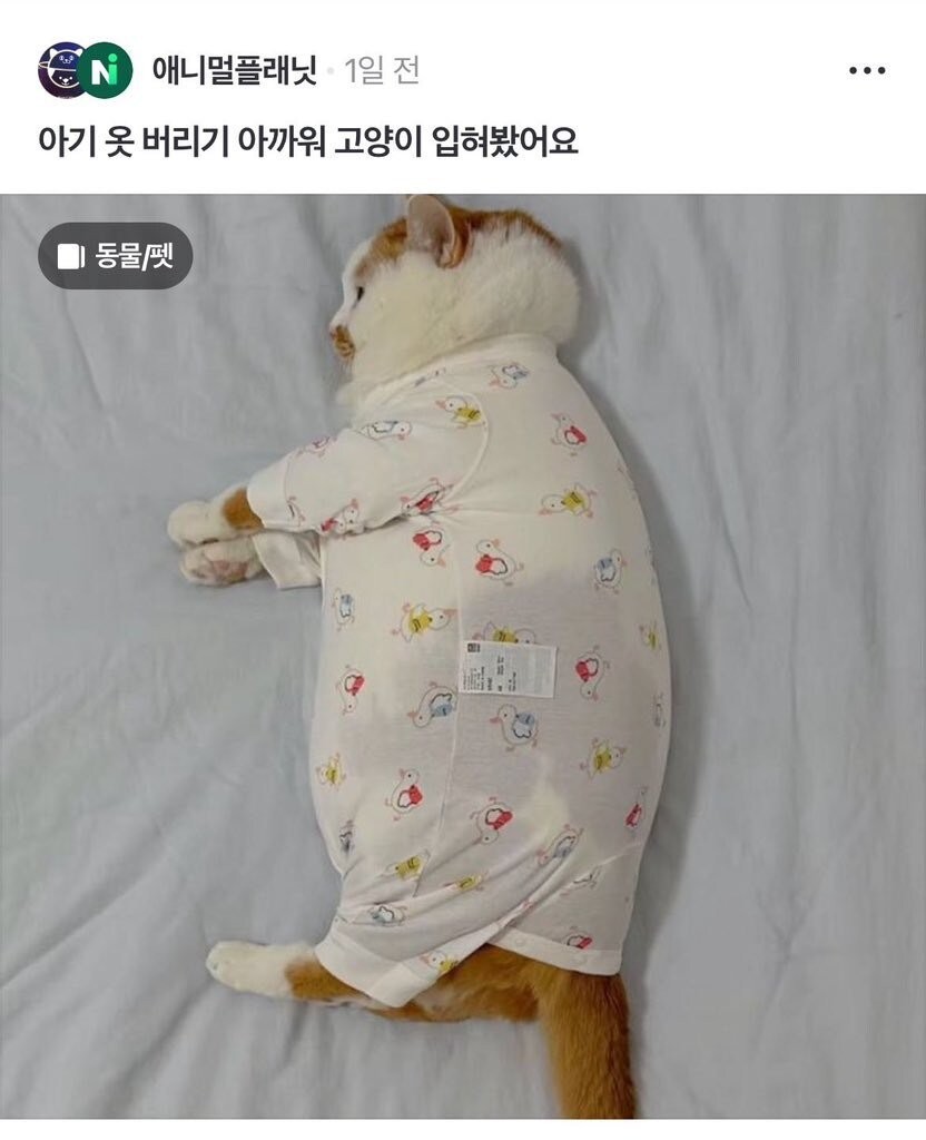 17398512462838.jpg
