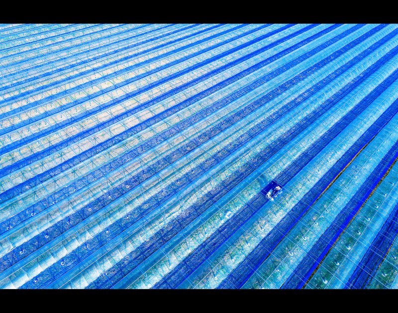 17409636446029.jpg