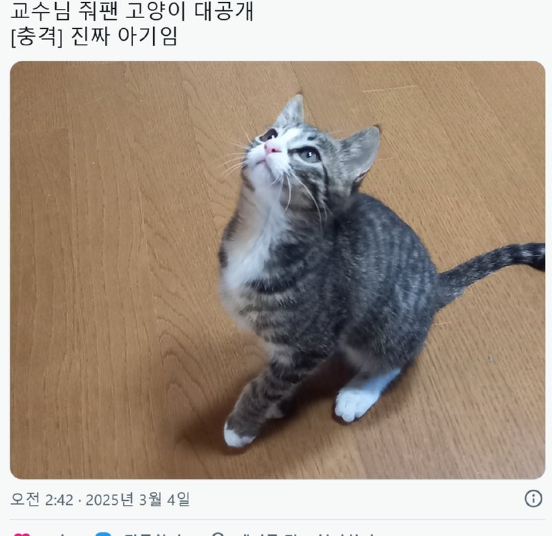 17411364402581.png