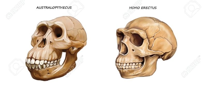 17416548460483.png