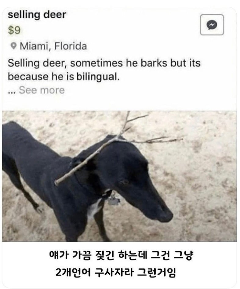 17416980258112.png
