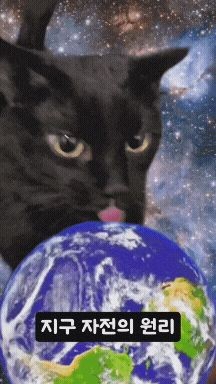 1741784413961.jpg