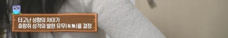 17426484819866.jpg