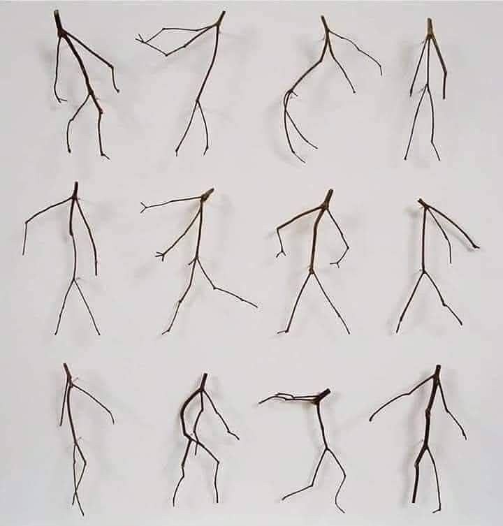 17429076399171.jpg