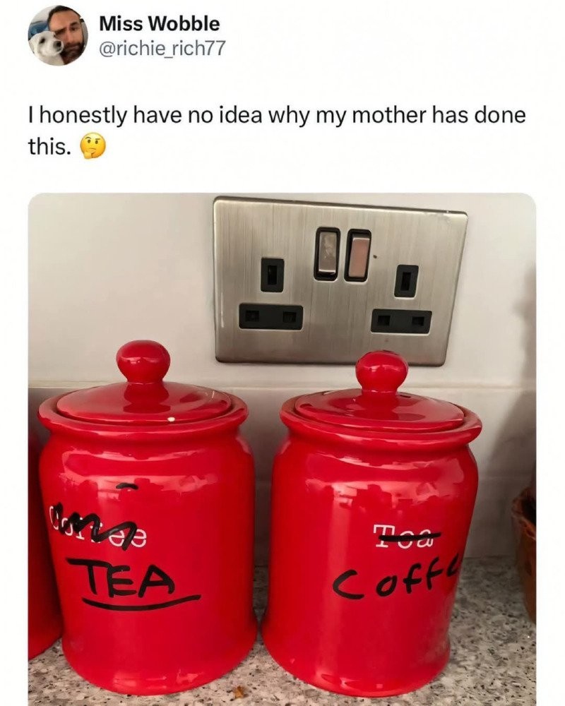 17437284240809.jpg