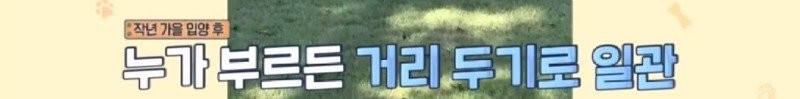 17437284315479.jpg