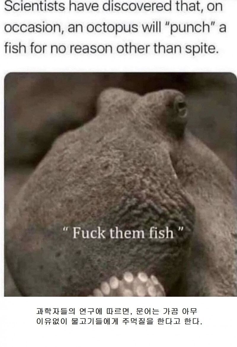 17438580461486.png