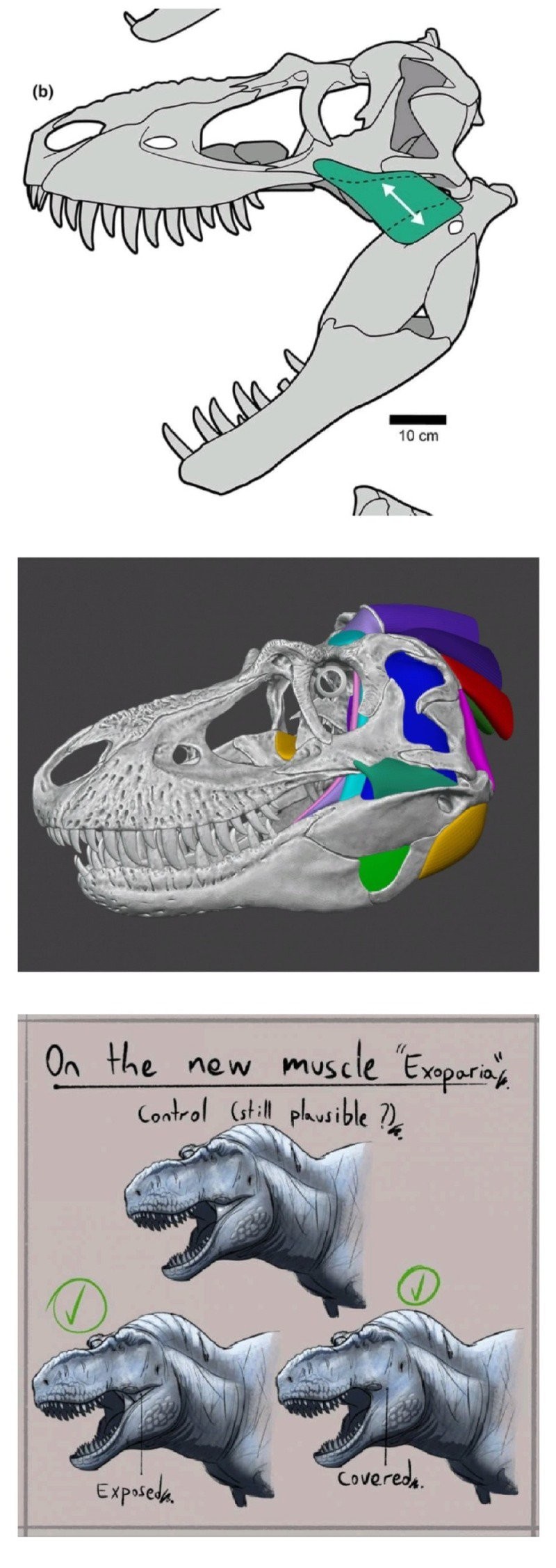 17439444399413.jpg
