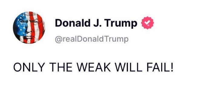 17439444643805.jpg