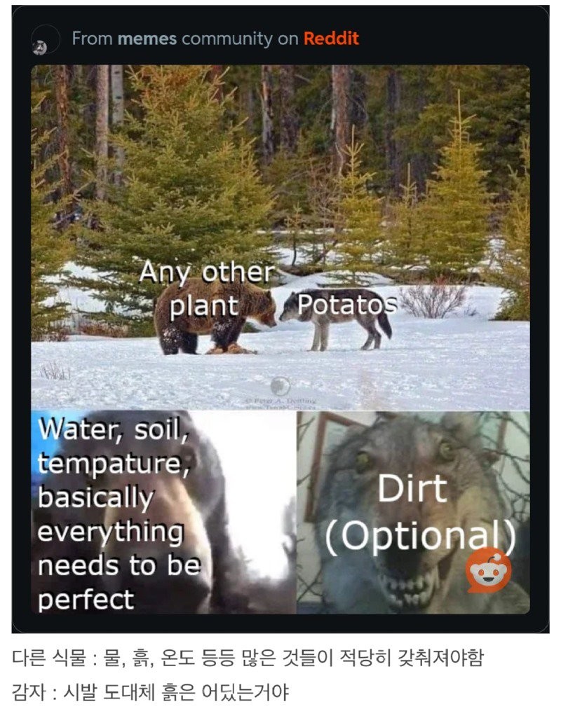 17440740177072.jpg