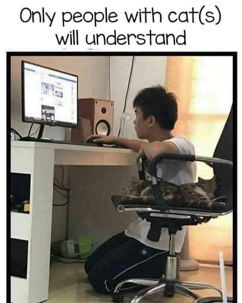 17447220683468.jpg