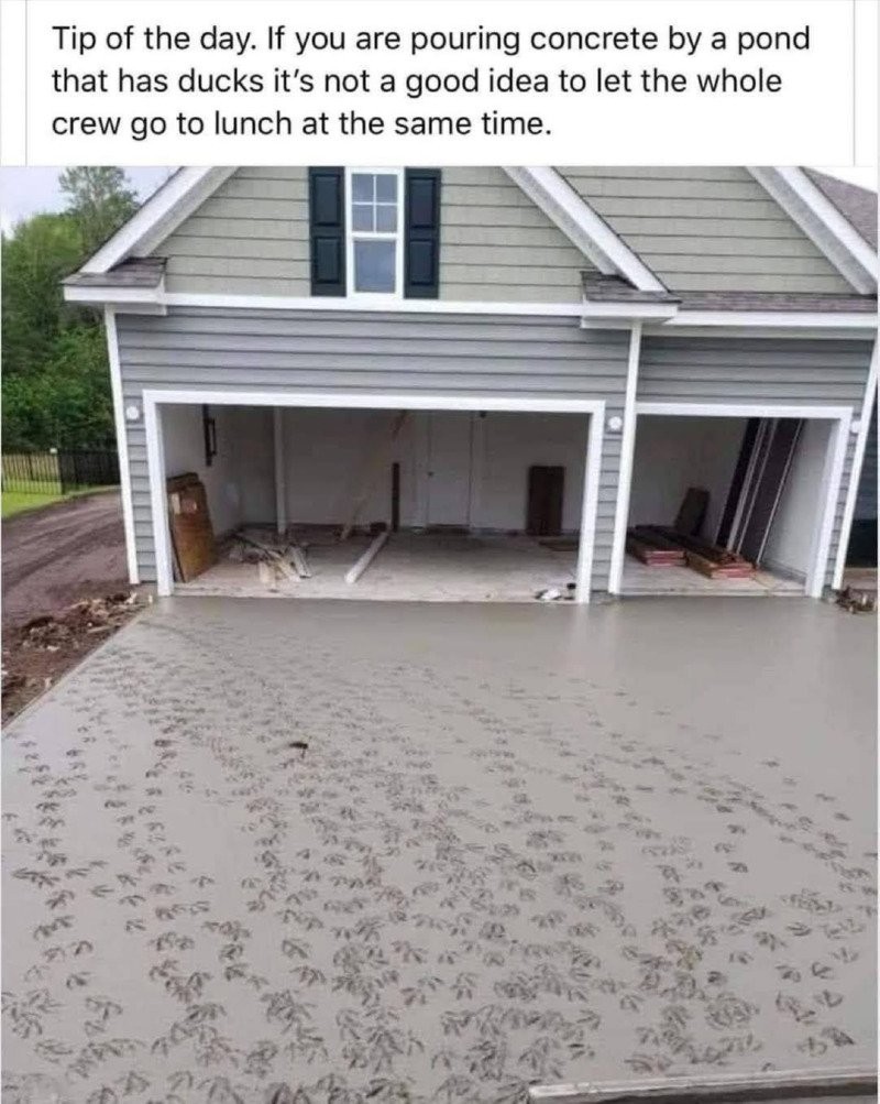 17448948331377.jpg