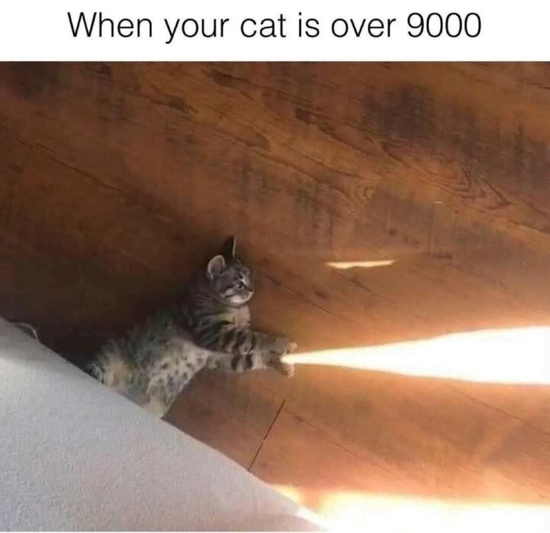 17449812393416.jpg