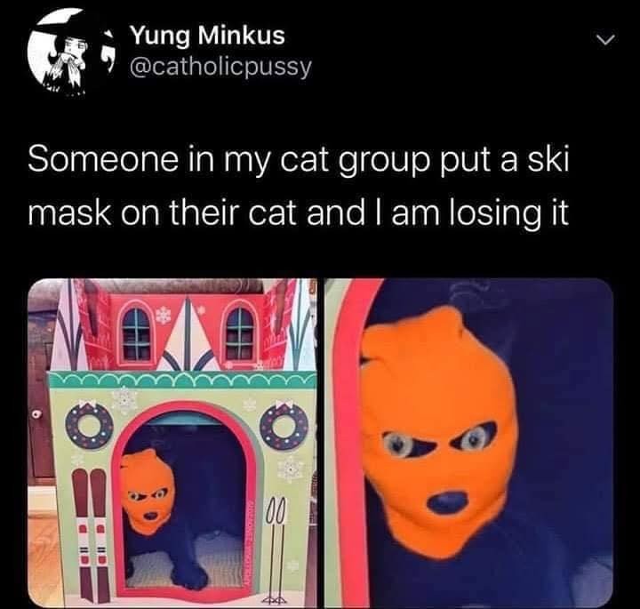 17452404735953.jpg