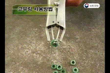 17455428413036.gif