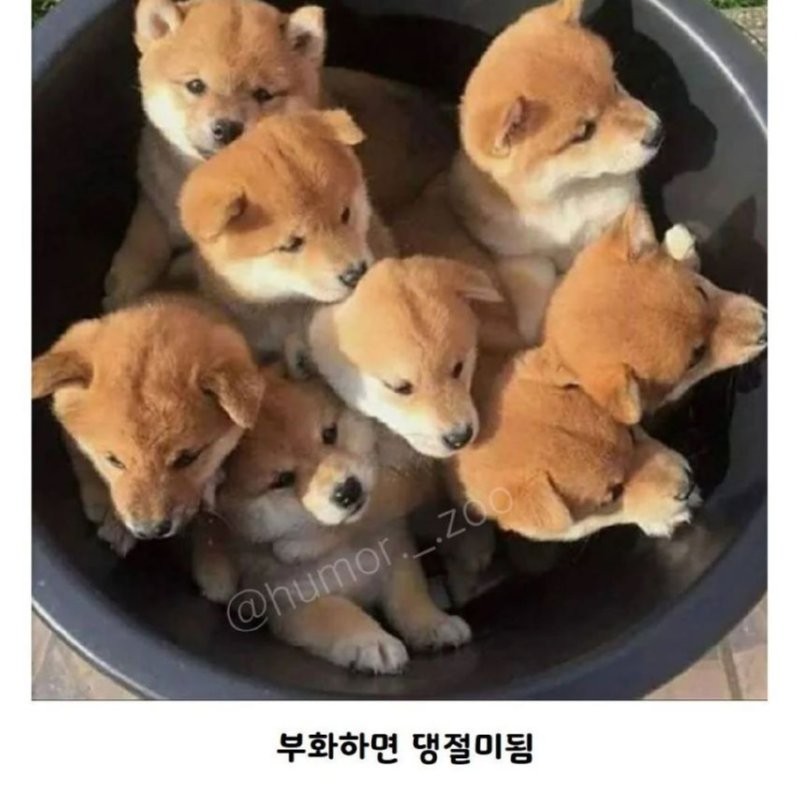 17461044384535.png