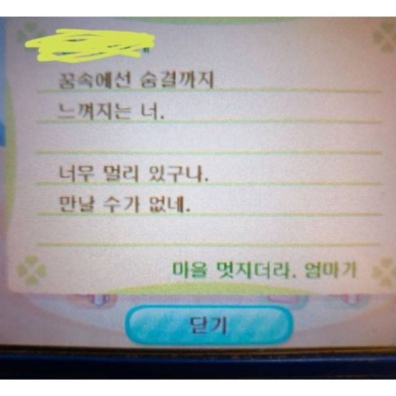 17462772477662.jpg