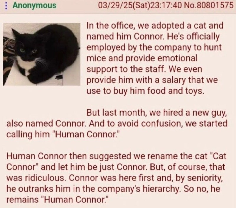 17464932427225.jpg
