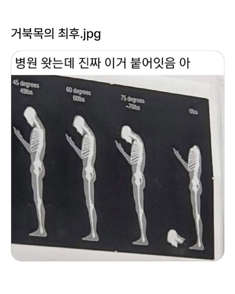 17466660360995.jpg