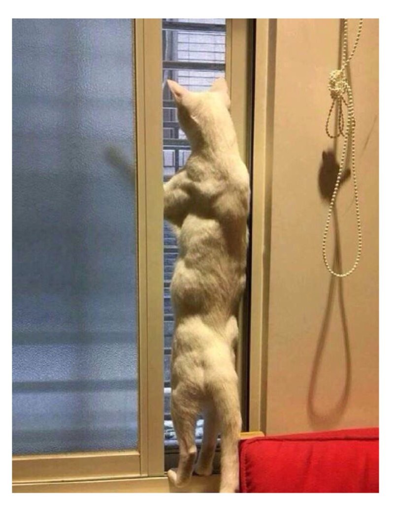 17470548296403.png