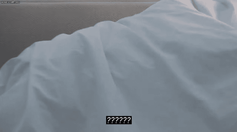 17472708440371.gif