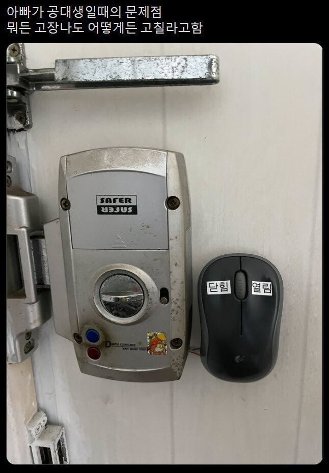 17475300176807.jpg