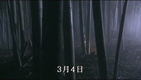 17477028457764.jpg