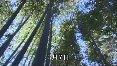 17477028473519.jpg