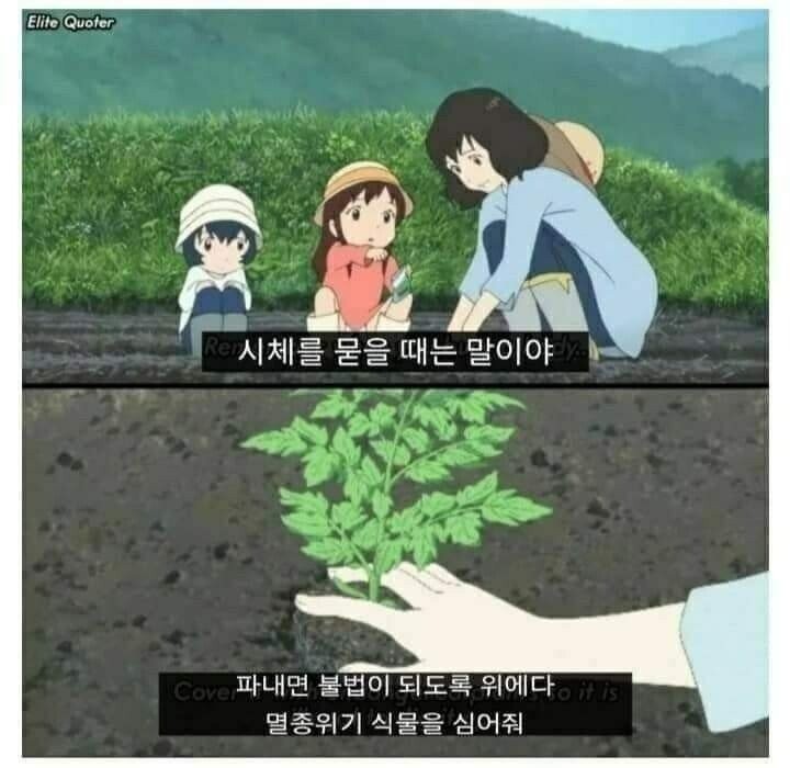 17477028499583.jpg