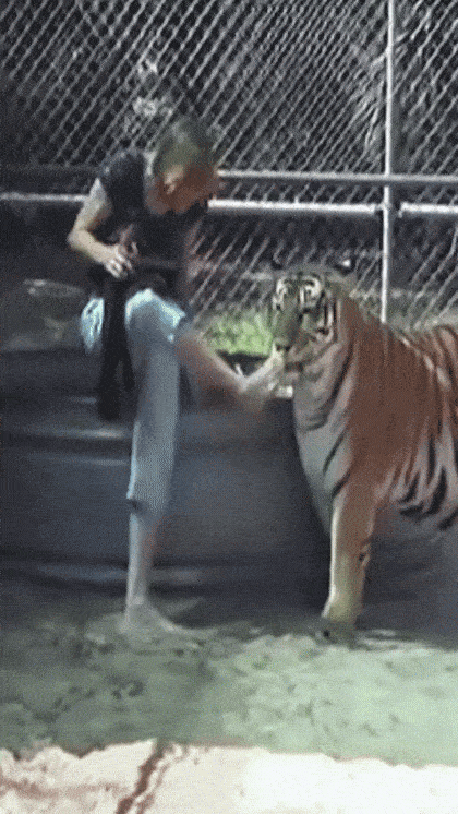 17478324334604.gif