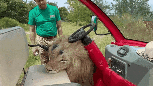 17478324356962.gif