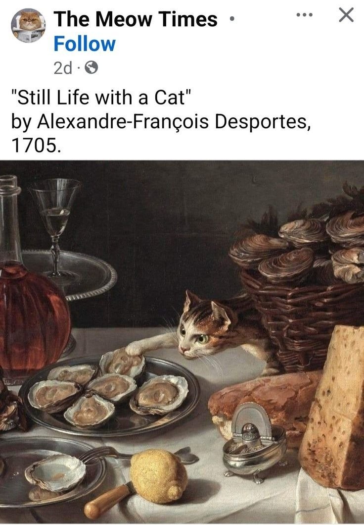 1748394054676.jpg