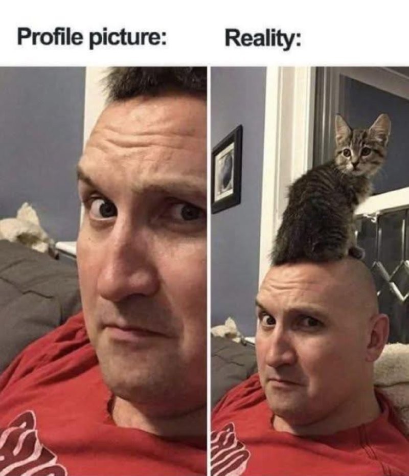 17488692277999.png