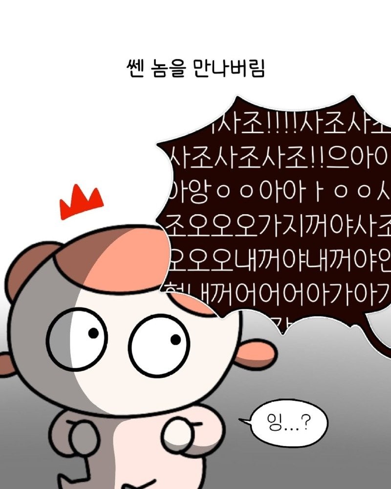 17489124319807.jpg