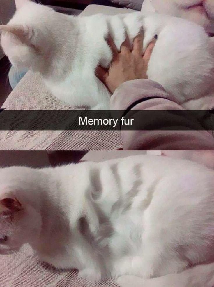 17489556316322.jpg