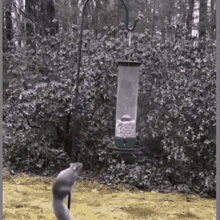 17489988444712.gif