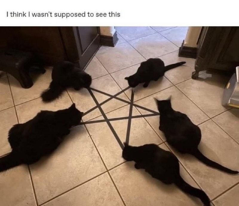 17494740419783.jpg
