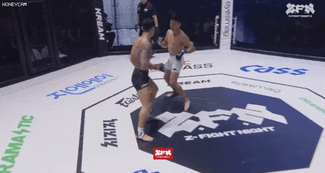 17495172248087.gif