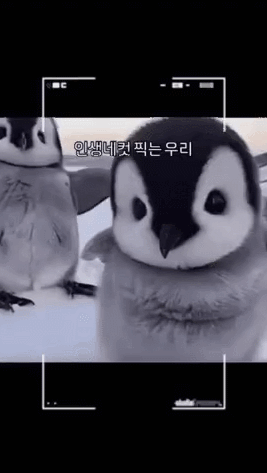 17495172563197.gif