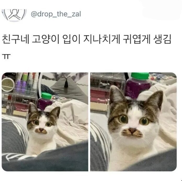 17496468331253.jpg